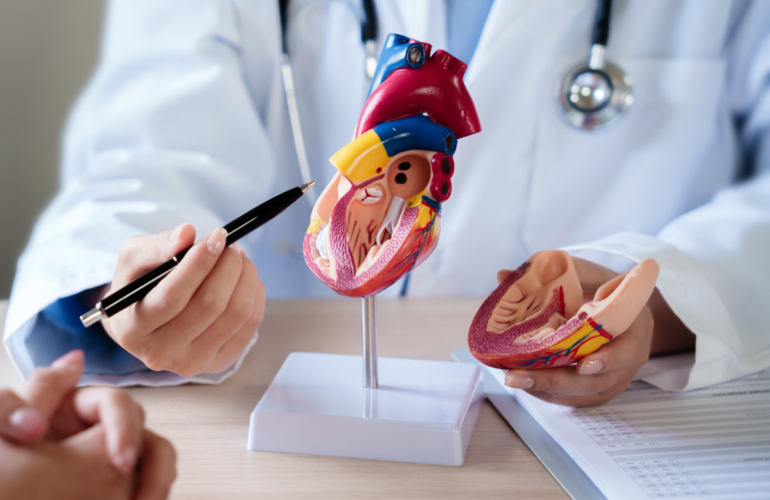 What are the Main Causes of Heart Attacks