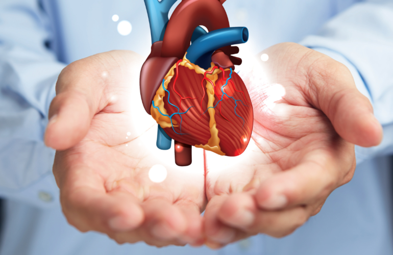 दिल की बीमारी से बचाव